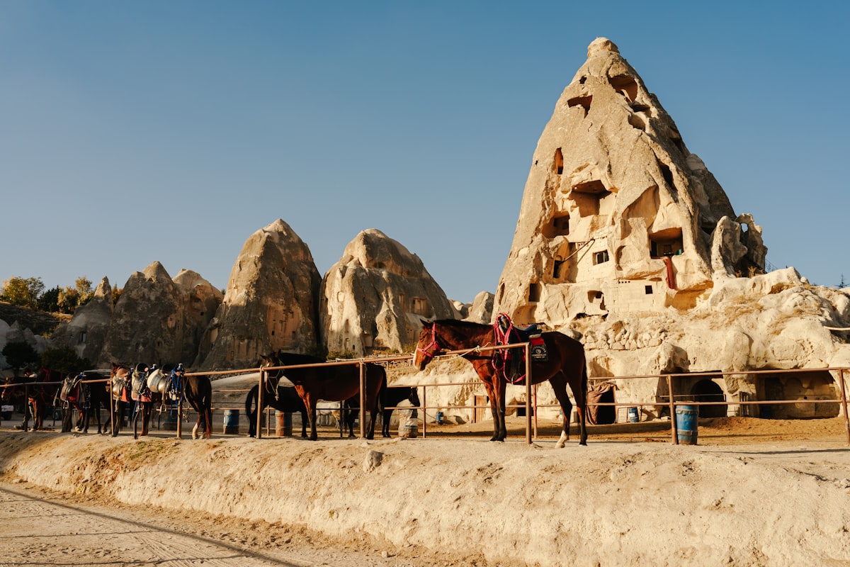 Horses beside cave dwellings carved into fairy chimneys in Cappadocia, Turkey