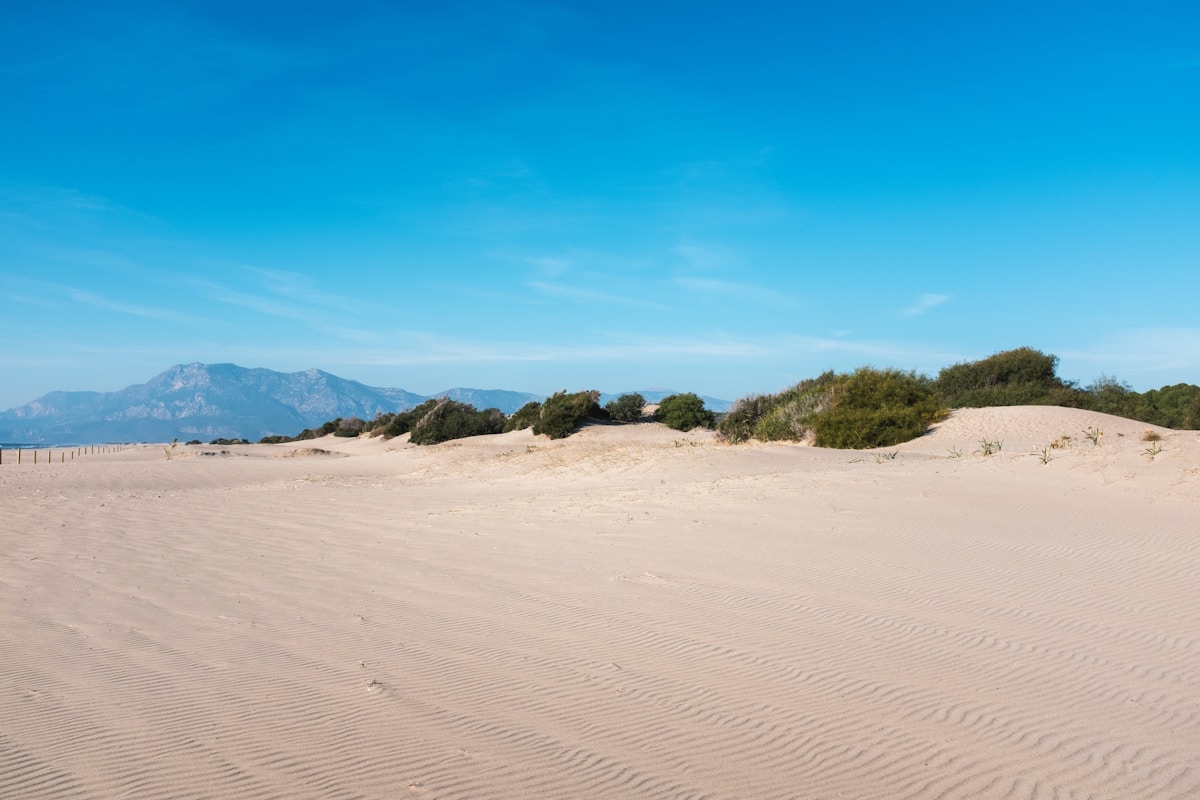 Wide sandy dunes with mountains behind and wooden turtle nesting fence posts — Patara beach, Lycian Coast, Turkey