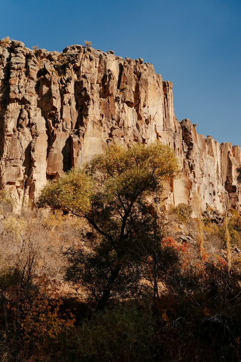 Ihlara Valley volcanic cliff face with autumn trees — 14km gorge hike, Cappadocia, Turkey