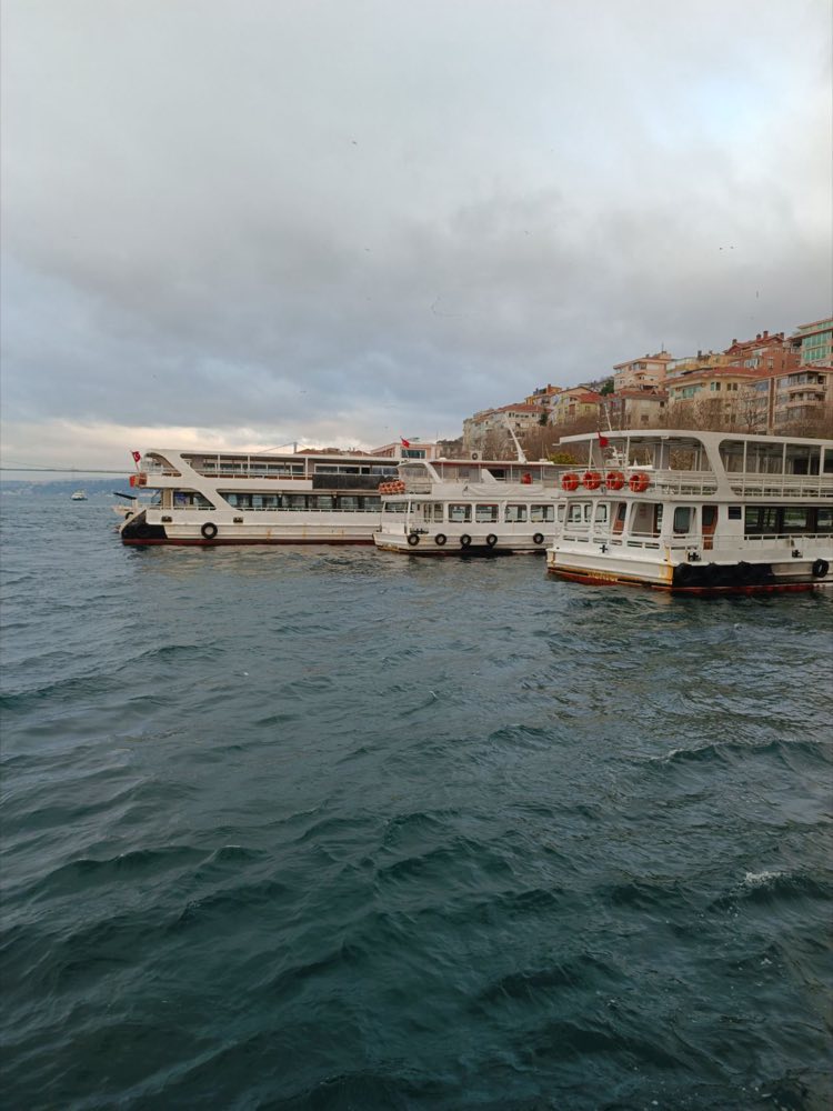 Ferries amarrés sur la rive du Bosphore avec des maisons sur la colline