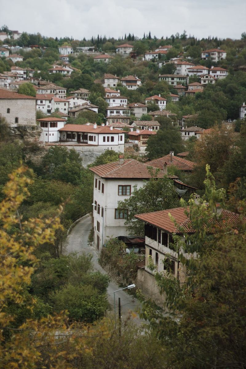 Aerial view of Safranbolu houses among green trees