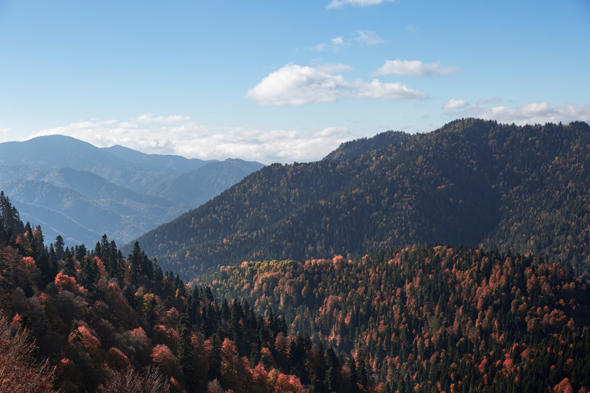 Forested mountain slopes of the Köroğlu range near Bolu in northwestern Turkey, the setting of Kartalkaya ski resort