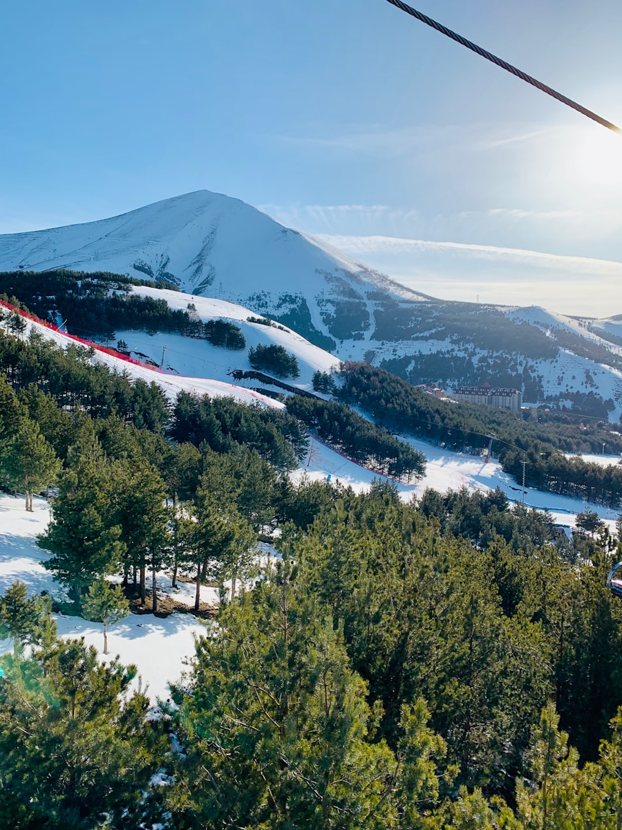 Snow-covered ski runs and pine forests on the slopes of Palandöken mountain above Erzurum, Turkey, seen from a cable car